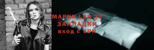 эйфоретик Покачи